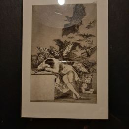 "Gdy rozum śpi, budzą się demony" Francisco Goya