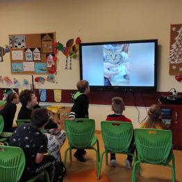 Grupa uczniów oglądających film edukacyjny o życiu kotów.