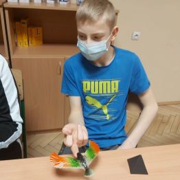 chłopiec trzyma na palcu zaczepionego dziobem ptaka