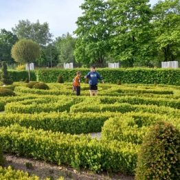 Ogród botaniczny.