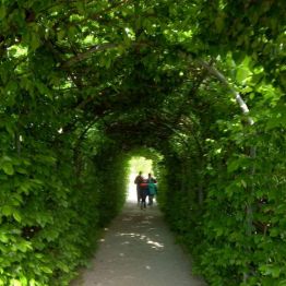 Wejście w tunel roślinny.