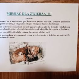 Wywieszona informacja o organizowanej pomocy dla bezdomnych zwierząt.