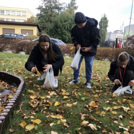 Uczniowie zbierają kasztany.