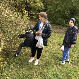 Krzyś jest nachylony i zrywa małe jabłuszka. Ola i Wojtek stoją obok.