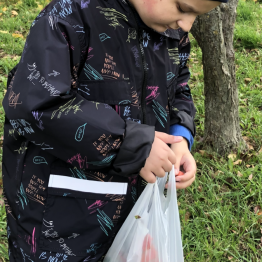 Wojtek chowa rajskie jabłuszko do reklamówki.