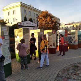 wychowankowie oglądają wystawę