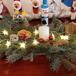 Stroik na korze drewna.