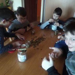 dzieci segregują monety do słoiczków
