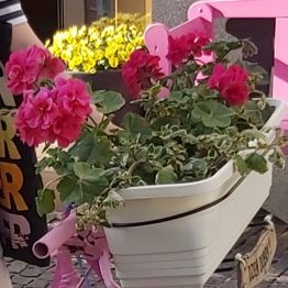 Kwiaty w koszyku przy włoskiej restauracji.