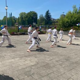 pokaz karate