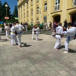 pokaz karate