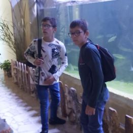 W Nidarium.