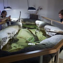Obserwacja fauny i flory w Nidarium.