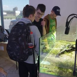 Obserwacja żólwia błotnego w Nidarium.