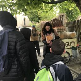 Historia Koguta