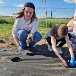Zajęcia terenowe - sadzenie roślin