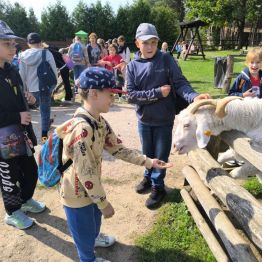 Uczeń klasy 2a karmi kozę