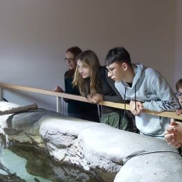 Wychowankowie przyglądają się, jakie rodzaje ryb mieszkają w akwarium.