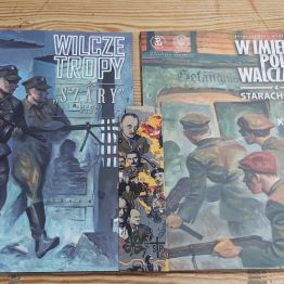 Komiksy o II wojnie swiatowej.