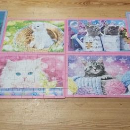 Efekt końcowy. Ułożone puzzle. 