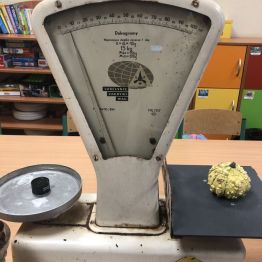 Uczniowie poznają różne rodzaje wag.