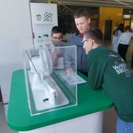 Trzech chłopców przy eksponacie doświadczalnym.