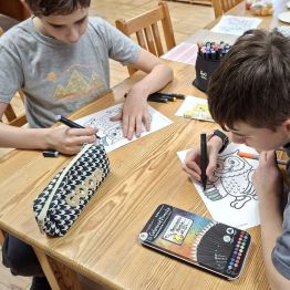 chłopcy malują sowy i rozwiązują łamigłówki