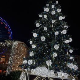 Oświetlona choinka na Rynku w Kielcach