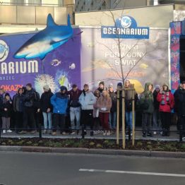 Dzieci stoją przed oceanarium