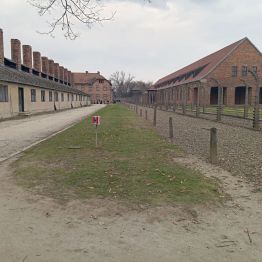 uczniowie idą i zwiedzają Muzeum w Auschwitz