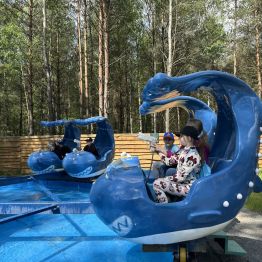 Dzieci w Noe Park Na karuzeli