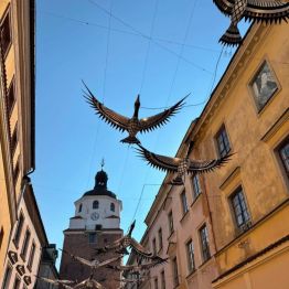 Stare Miasto