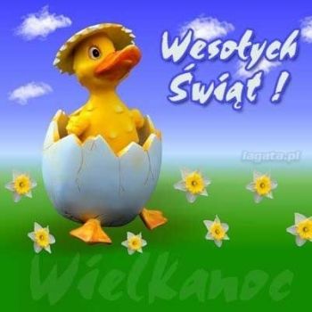 Kurczak w skorupce i napis: Wesołych Świąt!
