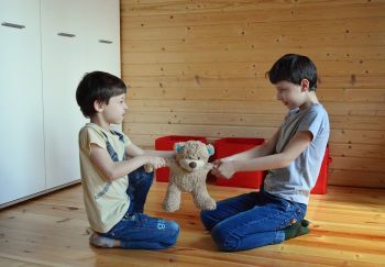 Chłopcy wyrywający sobie pluszowego misia