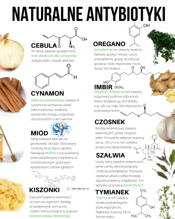 Plakat Naturalne antybiotyki - cebula, cynamon, miód, kiszonki, oregano, imbir, czosnek, szałwia, tymianek