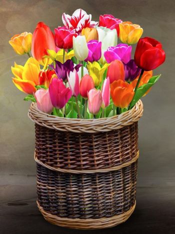 Kwiaty w koszyczku.