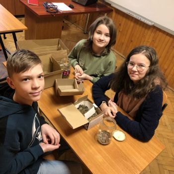 Dzieci segregują pieniądze.