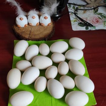 Gęsie i kacze jaja
