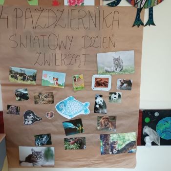 Plakat przedstawiajacy fotografie i obrazki różnych zwierząt.