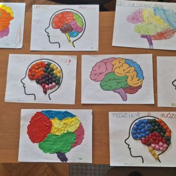 Prace plastyczne - mózg