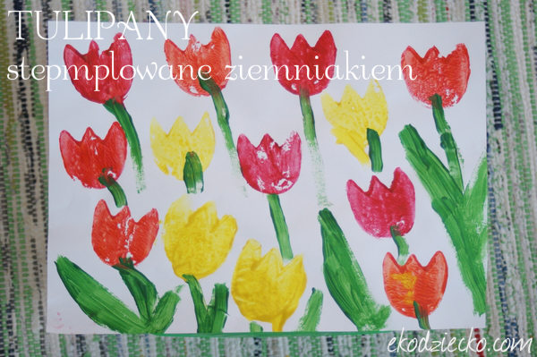 Praca plastyczna - tulipany stemplowane ziemniakiem